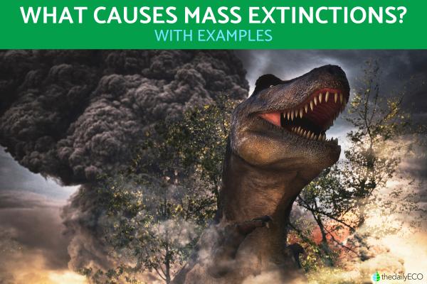 What Causes Mass Extinctions?