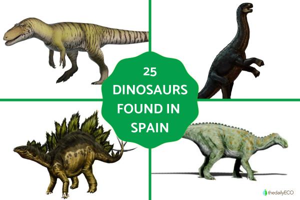 What Dinosaurs Were Found in Spain?