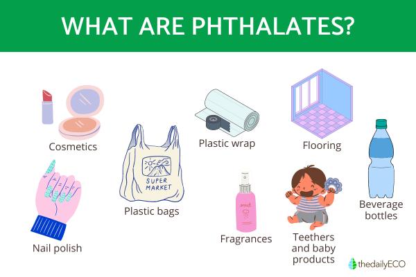 What Do Phthalates Do to Your Body?