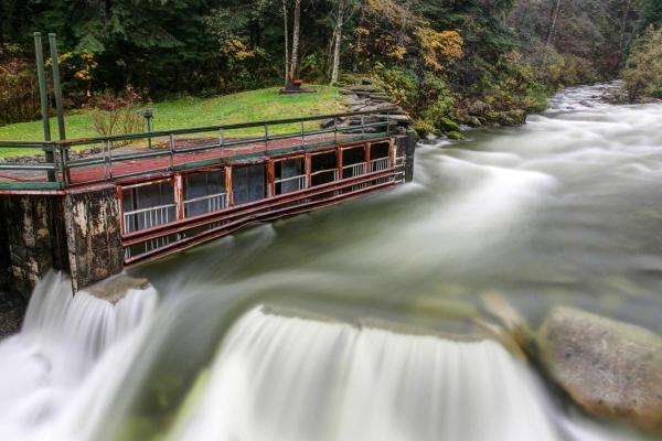 What Is Hydrology in Geography? - What does a hydrologist do?