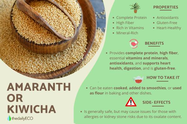 What Does Amaranth Do to the Body?