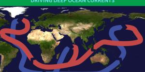 What Drives Deep Ocean Currents?