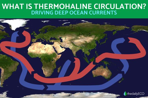 What Drives Deep Ocean Currents?