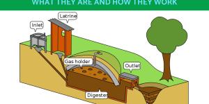 What Is a Biodigester and How Does It Work?