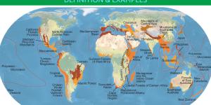 What Is a Biodiversity Hotspot? - Ecological Hotpots