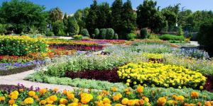 What Is a Botanical Garden?