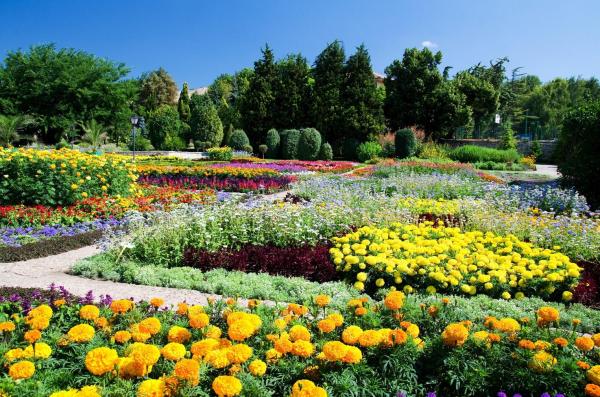 What Is a Botanical Garden?
