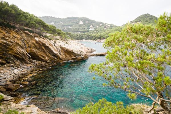 What Is a Coastline in Geography?