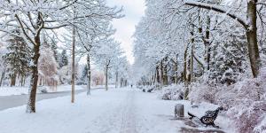What Is a Cold Wave Weather Phenomenon?