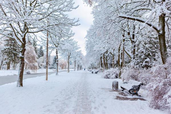 What Is a Cold Wave Weather Phenomenon?
