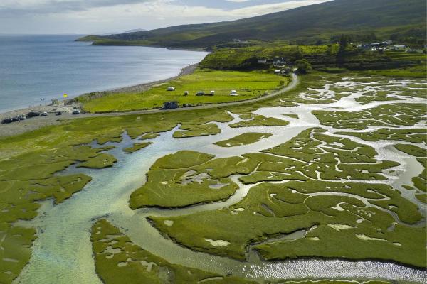 The Difference Between a Delta and an Estuary - What is a delta?