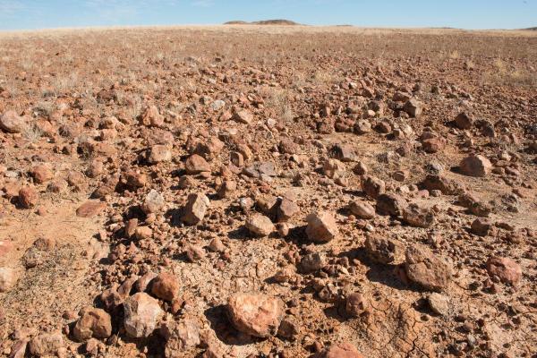 What Is a Desert Pavement?