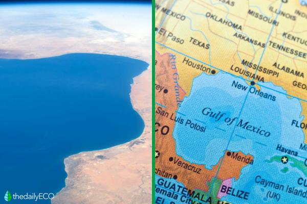 Difference Between Gulf and Bay - What is a gulf?