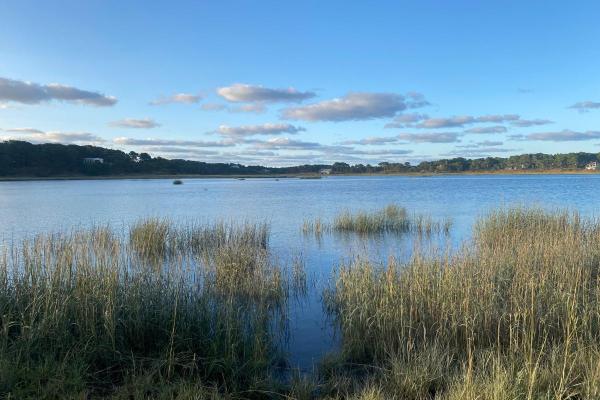 Difference Between a Lake and Reservoir - What is a lake?