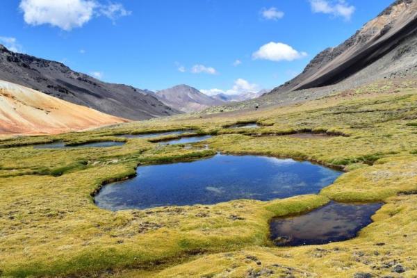 What Is a Lentic Ecosystem?