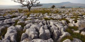What Is a Limestone Pavement?