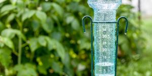 What Is a Pluviometer?