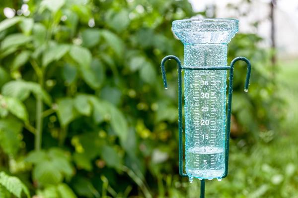 What Is a Pluviometer?
