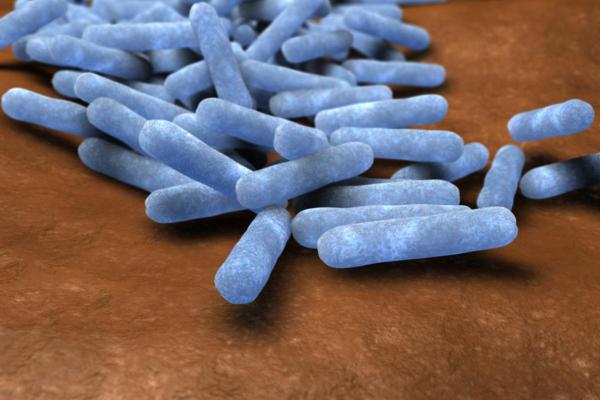 What is a Prokaryotic Cell and Its Functions? - What is a prokaryotic cell?