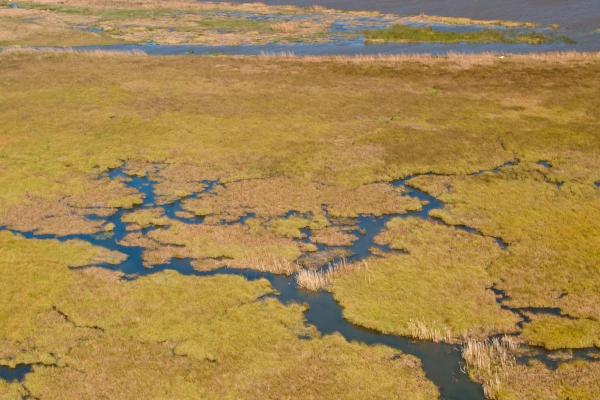 What Is a River Delta and How Is It Formed? - What is a river delta?