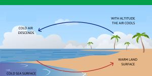 What Is a Sea Breeze?