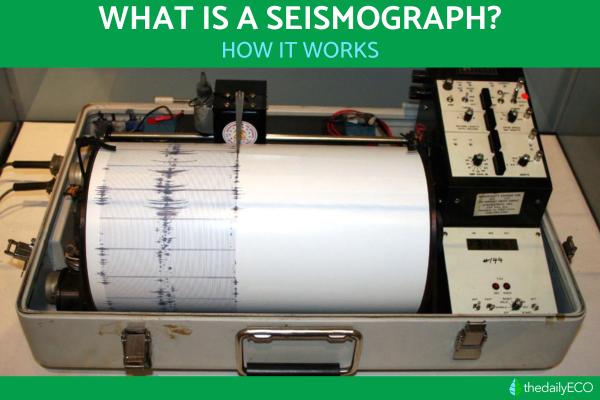 What is a Seismograph and How Does It Work?