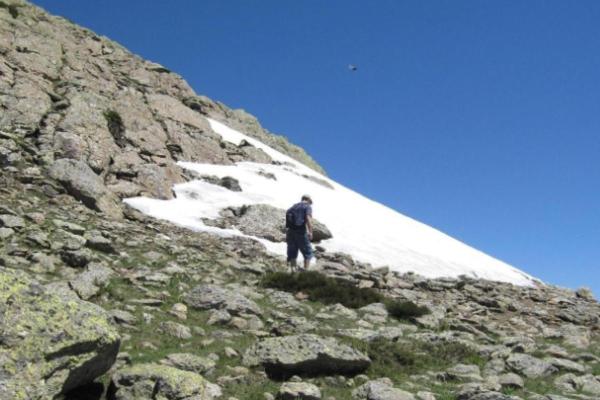 What Is a Snowfield in Geography? - What is a snowfield?