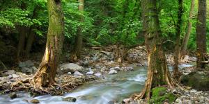 What Is a Stream in Geography?