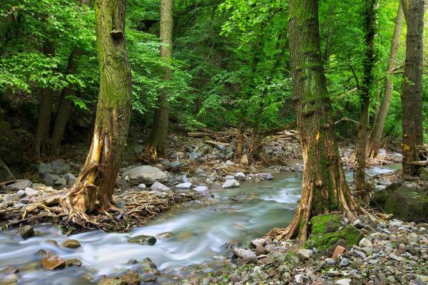 What Is a Stream in Geography?