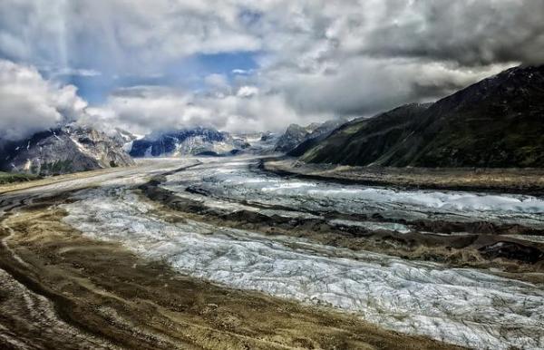 What Is a Tundra Ecosystem?