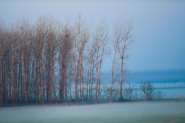 What Is Advection Fog and How Does It Form?