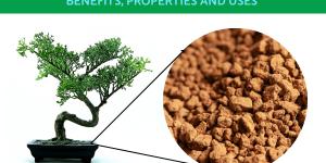 What Is Akadama Soil for Bonsai?