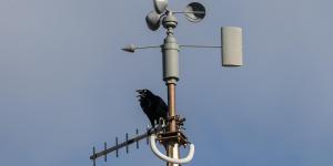 What Is an Anemometer Used For?
