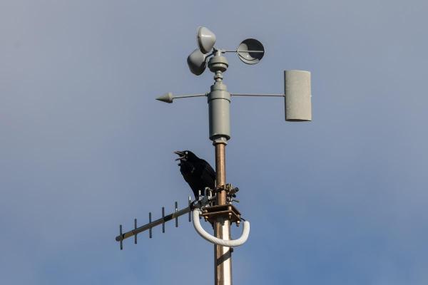 What Is an Anemometer Used For?