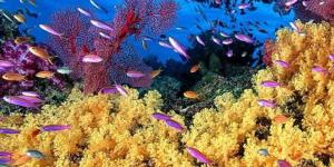What Is an Aquatic Ecosystem?
