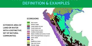 What Is an Ecoregion? - Definition With Examples