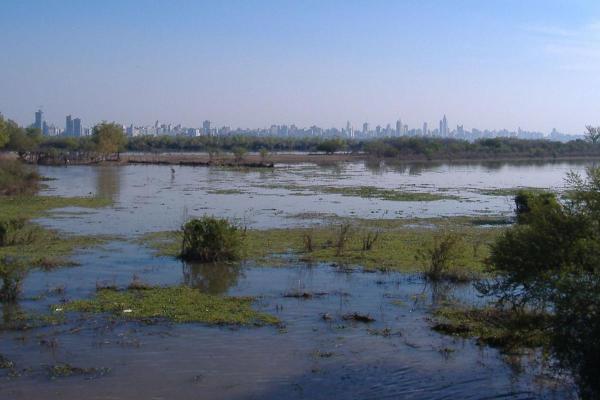 What Is an Ecoregion? - Definition With Examples -
