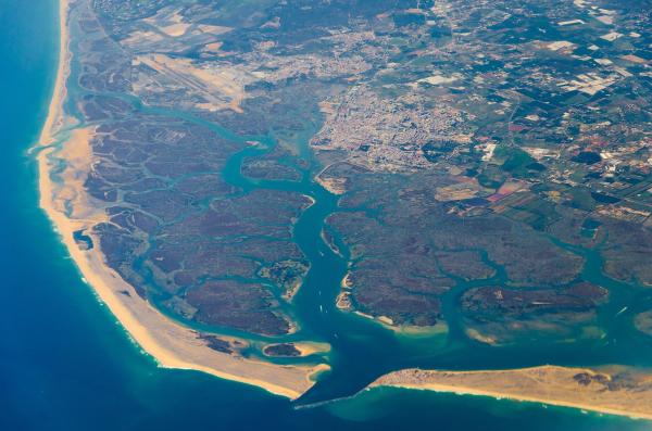 What Is a Estuary? - Formation, Importance & Examples - What is an estuary?