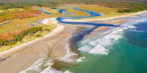 What Is an Estuary? - Definition of Estuaries