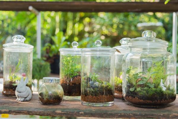 Eternal Gardens - Closed Ecosystem in a Glass Bottle - What is an eternal garden?