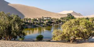 What Is an Oasis in a Desert?