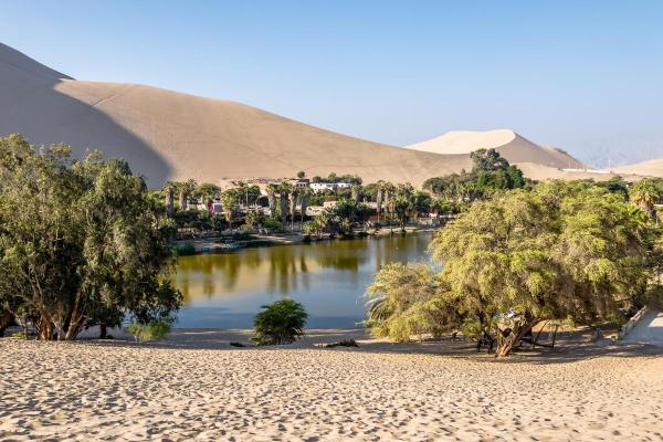 What Is an Oasis in a Desert?