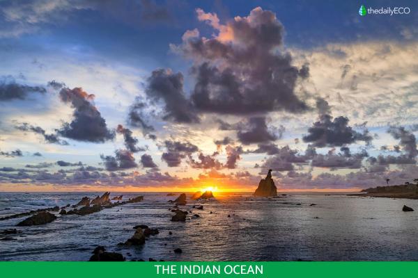 What Is the Difference Between an Ocean and a Sea? - What is an ocean?