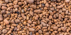 What Is Arlita or Expanded Clay for Plants?