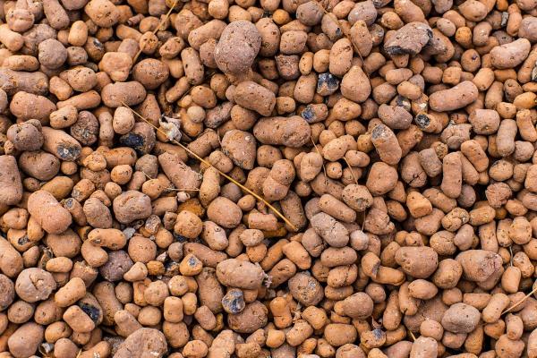 What Is Arlita or Expanded Clay for Plants?