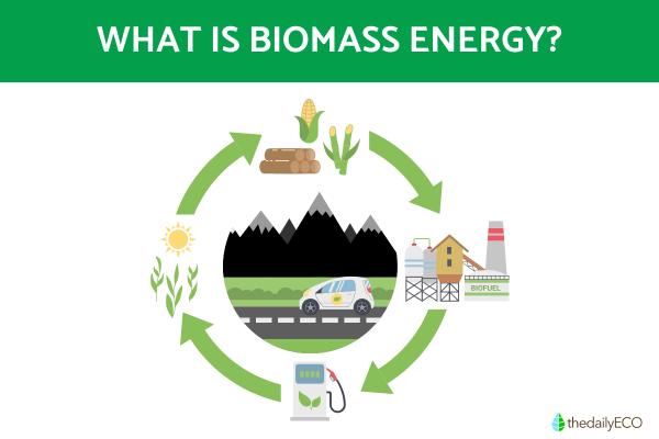 What Is Biomass Energy?