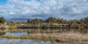 What Is Brackish Water? - Definition