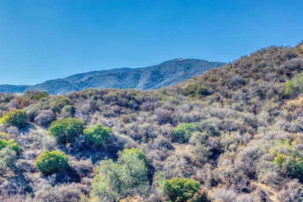 What is a Chaparral Biome? - What is chaparral biome and its characteristics?
