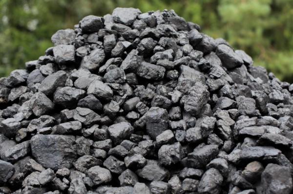 How Is Coal Made? - What is coal?