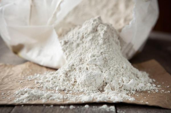 What Is Diatomaceous Earth or Diatomite?
